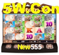 New555